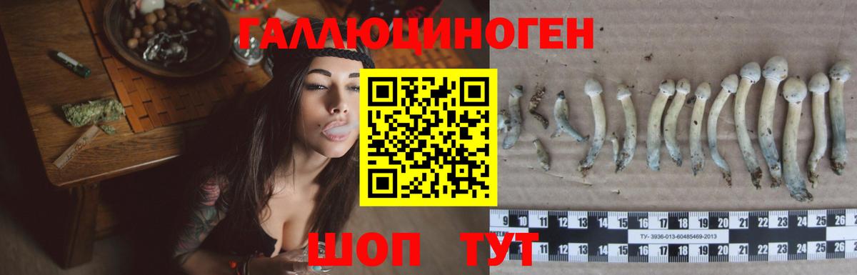 даркнет сайт  Галлюциногенные грибы мицелий  Каменка  Вход с VPN  Псилоцибиновые грибы мухоморы 